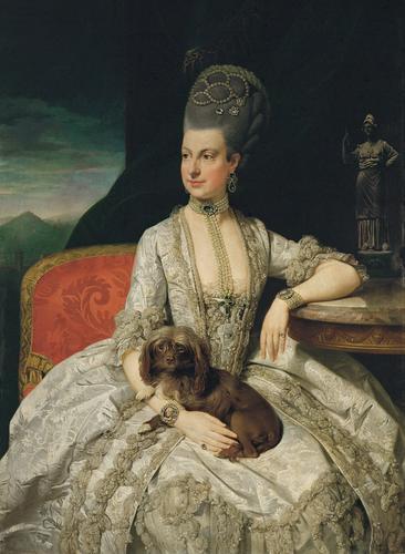 Johann Zoffany Archduchess Maria Christina oil painting image